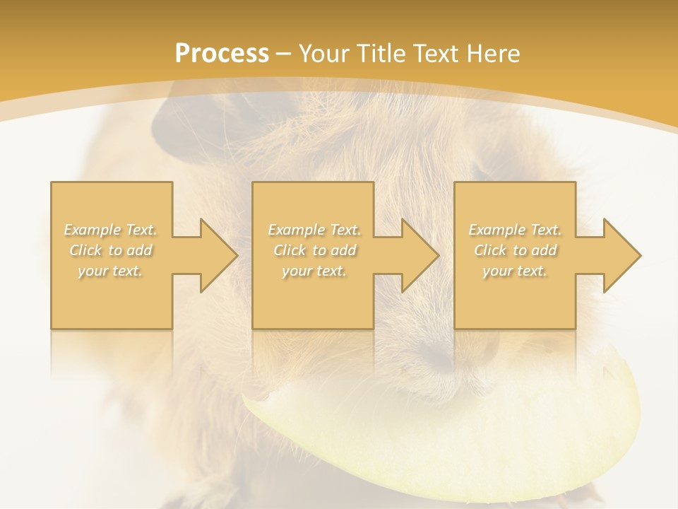 A Hamster With A Piece Of Apple In Its Mouth PowerPoint Template