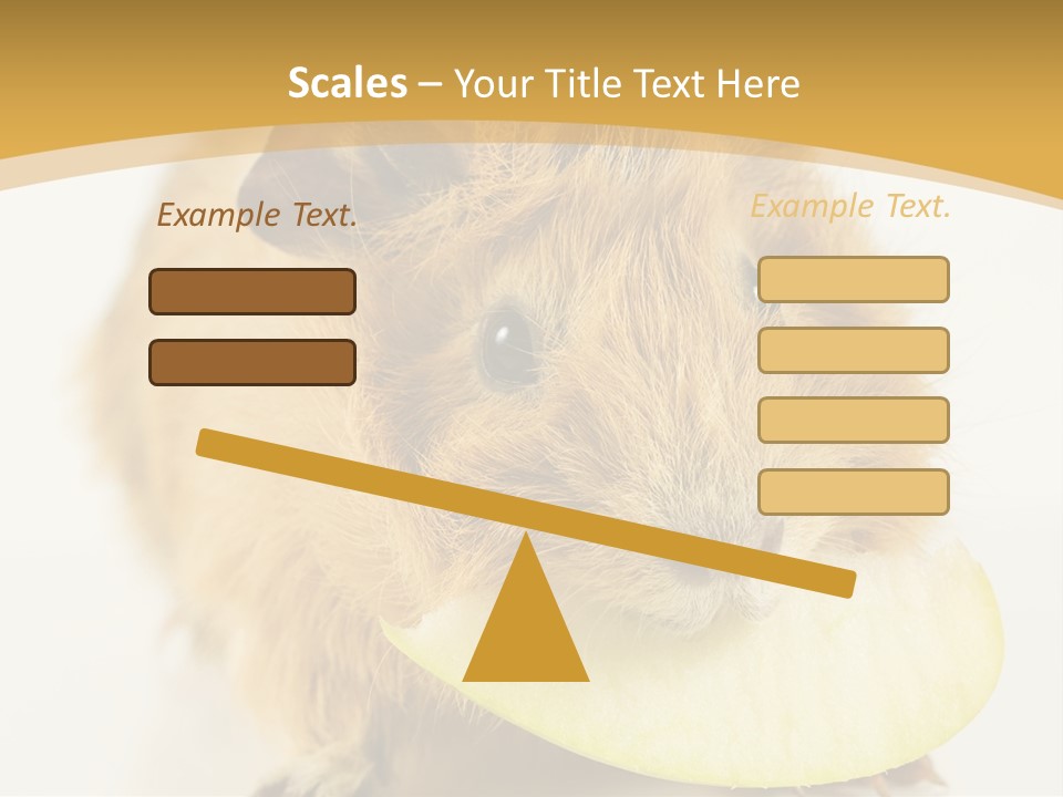 A Hamster With A Piece Of Apple In Its Mouth PowerPoint Template