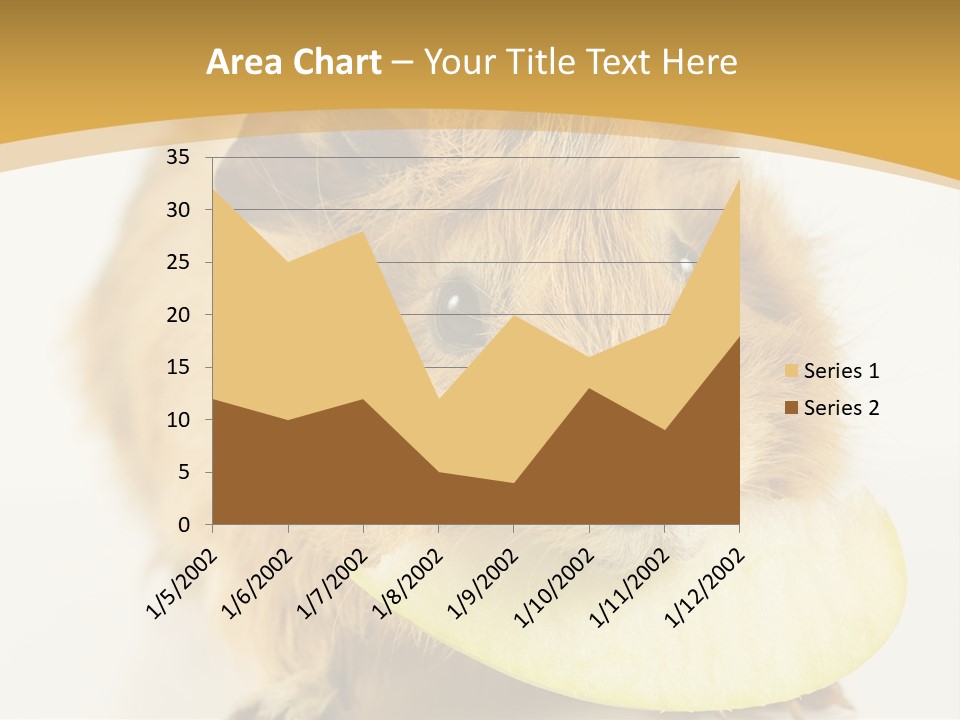 A Hamster With A Piece Of Apple In Its Mouth PowerPoint Template