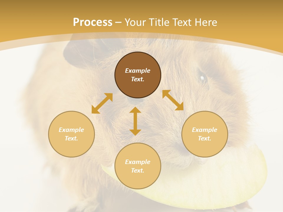 A Hamster With A Piece Of Apple In Its Mouth PowerPoint Template