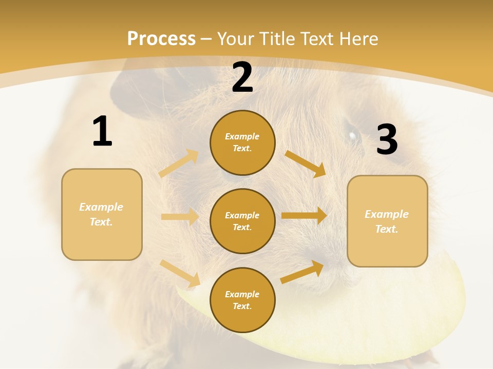 A Hamster With A Piece Of Apple In Its Mouth PowerPoint Template