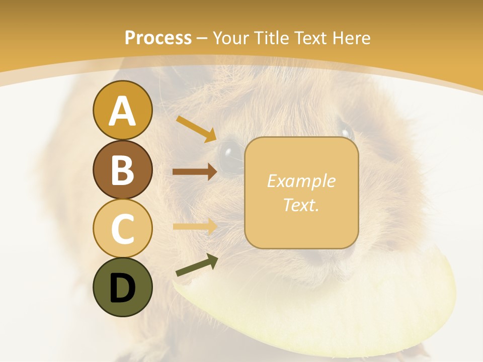 A Hamster With A Piece Of Apple In Its Mouth PowerPoint Template