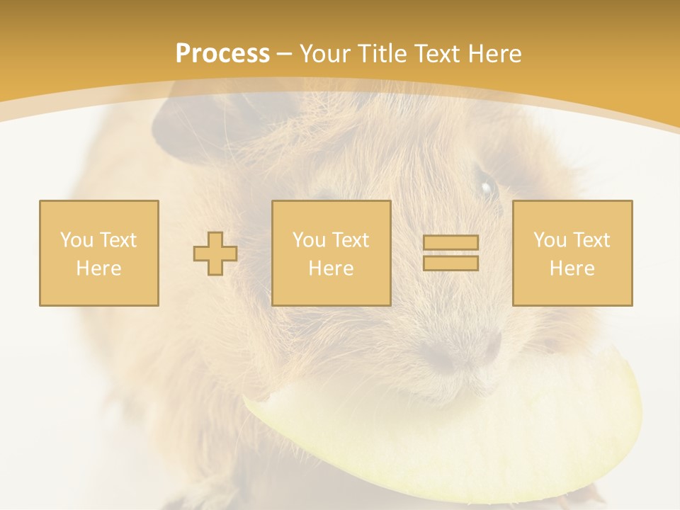 A Hamster With A Piece Of Apple In Its Mouth PowerPoint Template