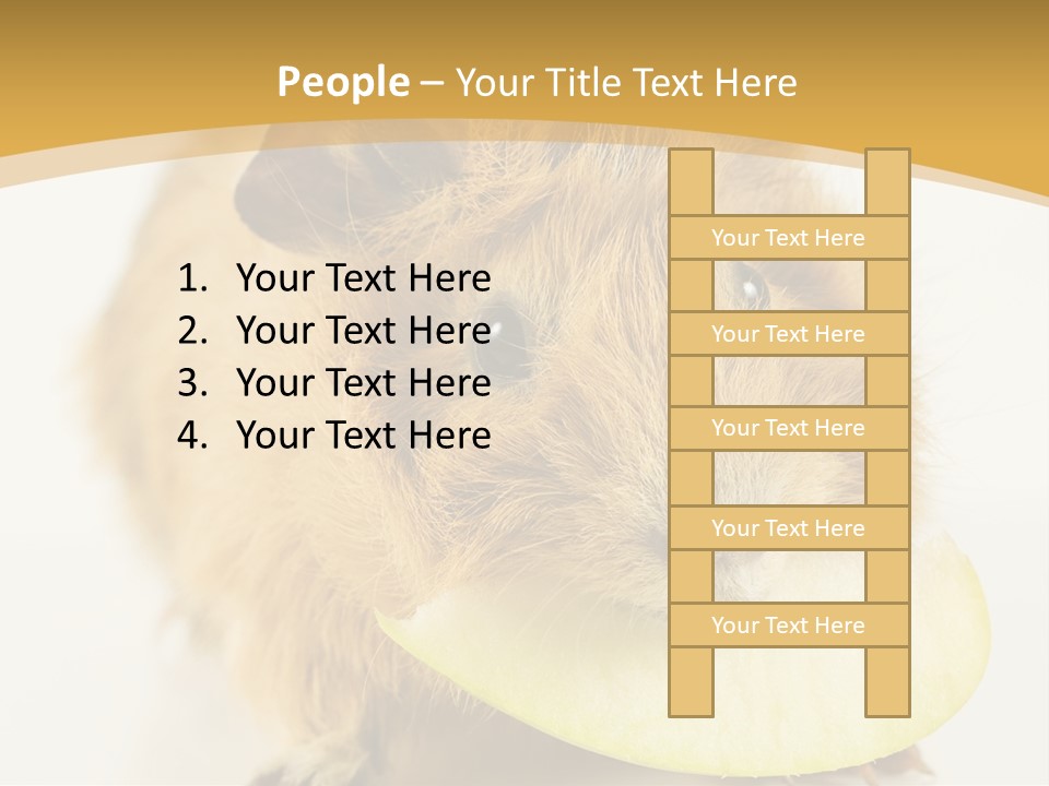 A Hamster With A Piece Of Apple In Its Mouth PowerPoint Template