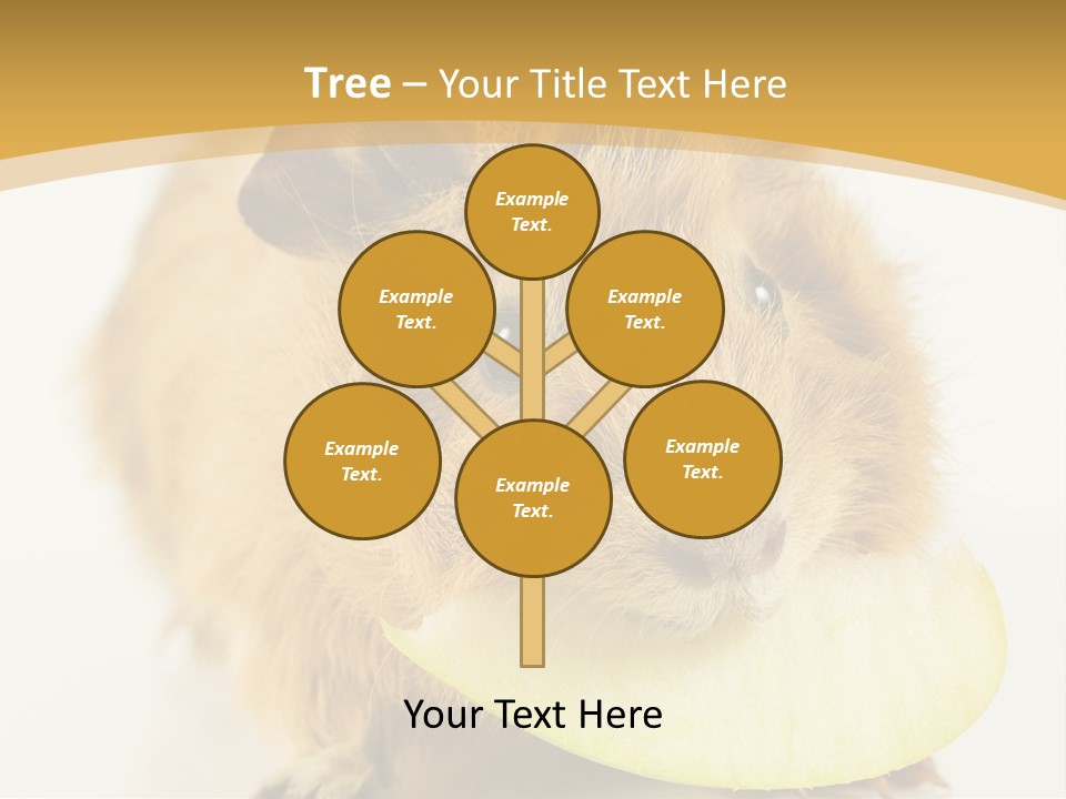 A Hamster With A Piece Of Apple In Its Mouth PowerPoint Template