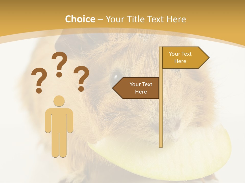 A Hamster With A Piece Of Apple In Its Mouth PowerPoint Template