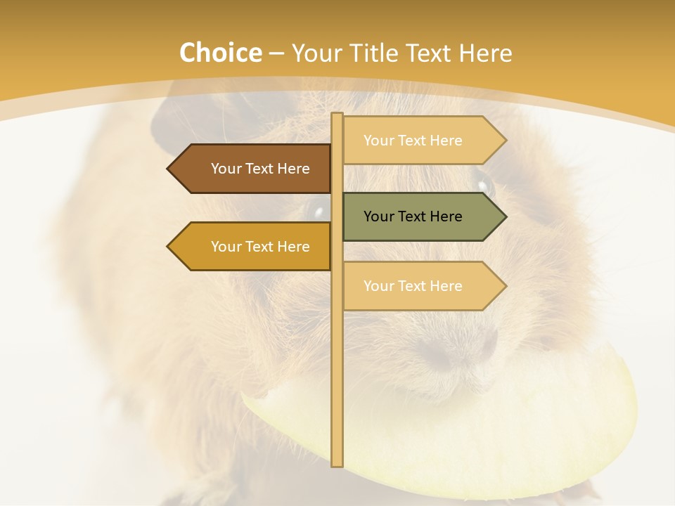 A Hamster With A Piece Of Apple In Its Mouth PowerPoint Template