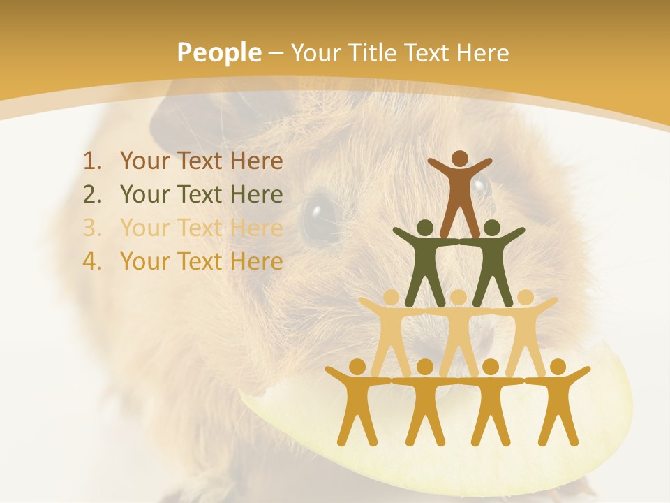 A Hamster With A Piece Of Apple In Its Mouth PowerPoint Template