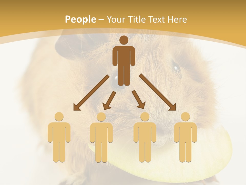 A Hamster With A Piece Of Apple In Its Mouth PowerPoint Template