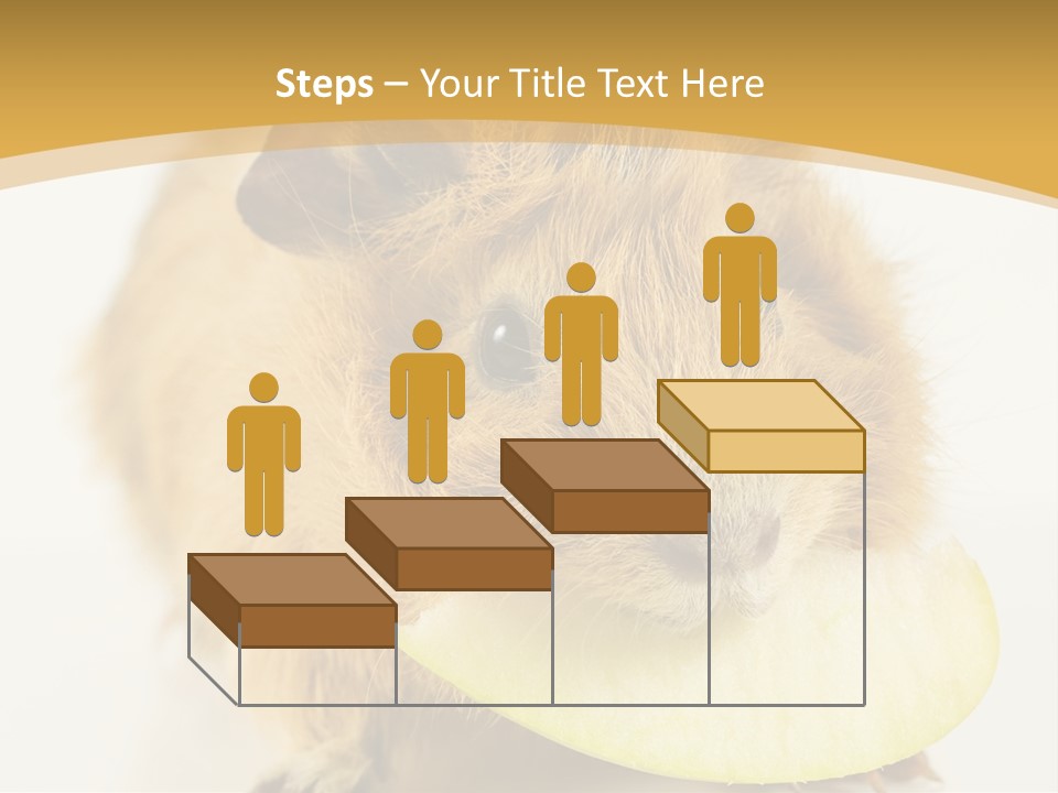 A Hamster With A Piece Of Apple In Its Mouth PowerPoint Template