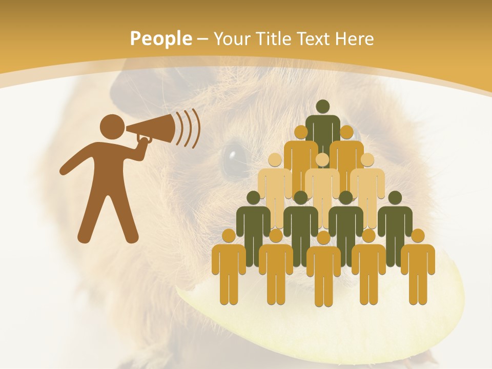 A Hamster With A Piece Of Apple In Its Mouth PowerPoint Template