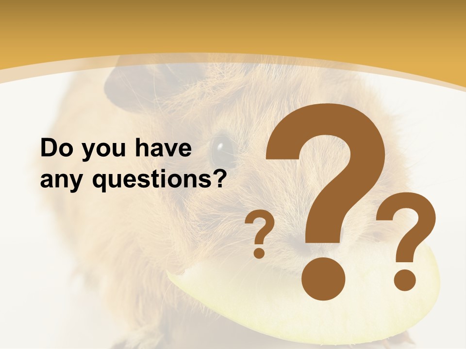 A Hamster With A Piece Of Apple In Its Mouth PowerPoint Template
