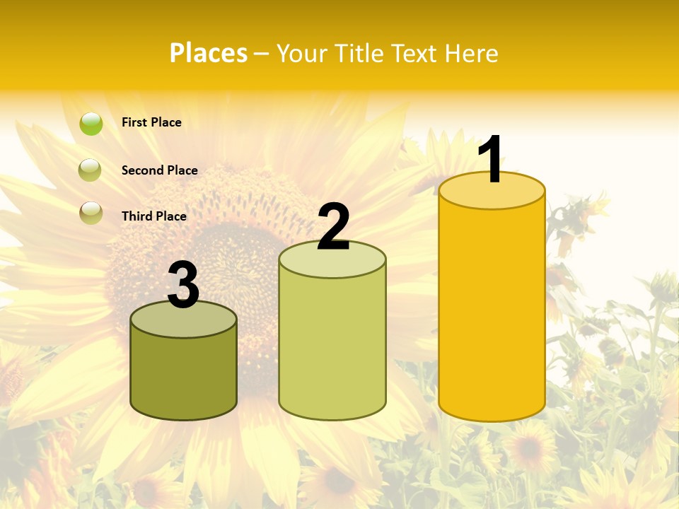 Season Flower Growth PowerPoint Template