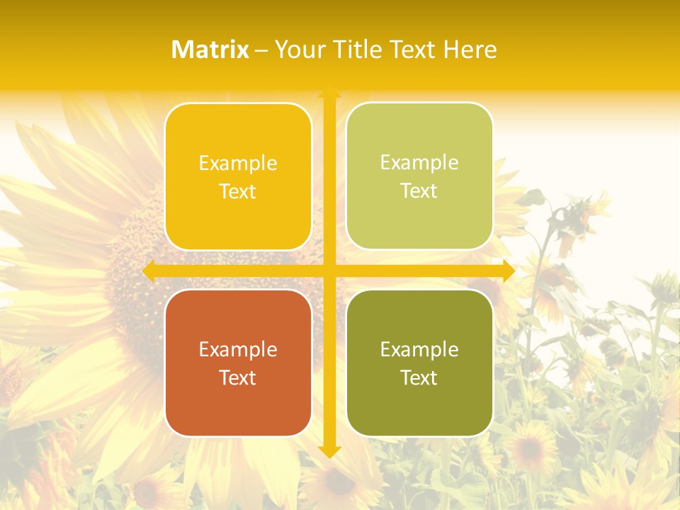 Season Flower Growth PowerPoint Template