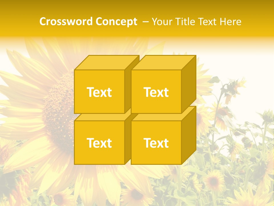 Season Flower Growth PowerPoint Template