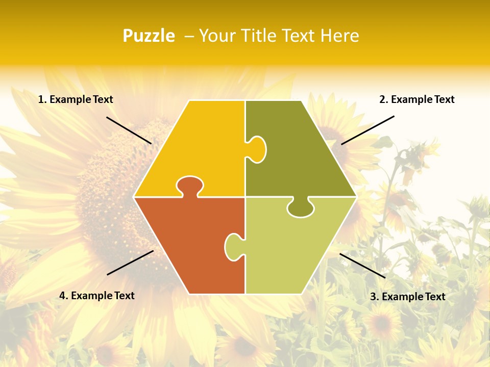 Season Flower Growth PowerPoint Template
