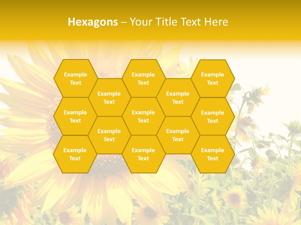 Season Flower Growth PowerPoint Template