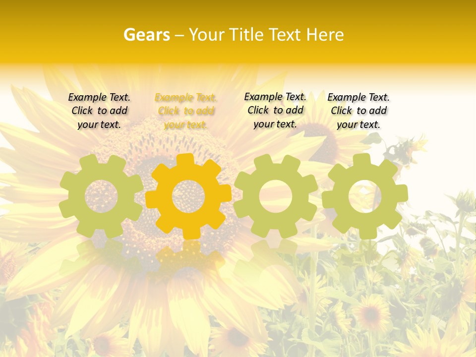 Season Flower Growth PowerPoint Template