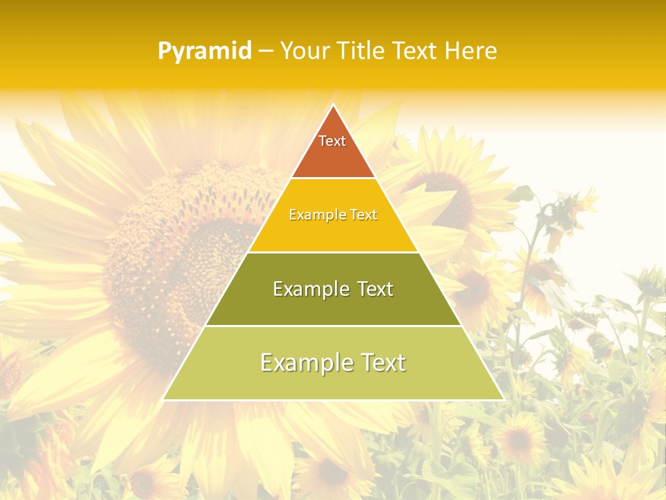 Season Flower Growth PowerPoint Template