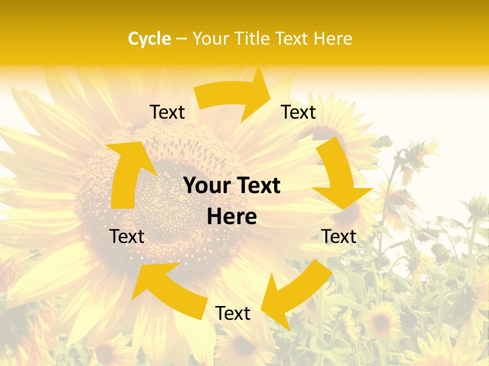 Season Flower Growth PowerPoint Template