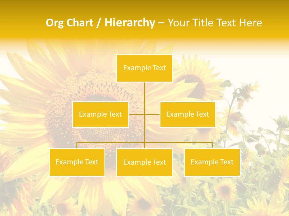 Season Flower Growth PowerPoint Template