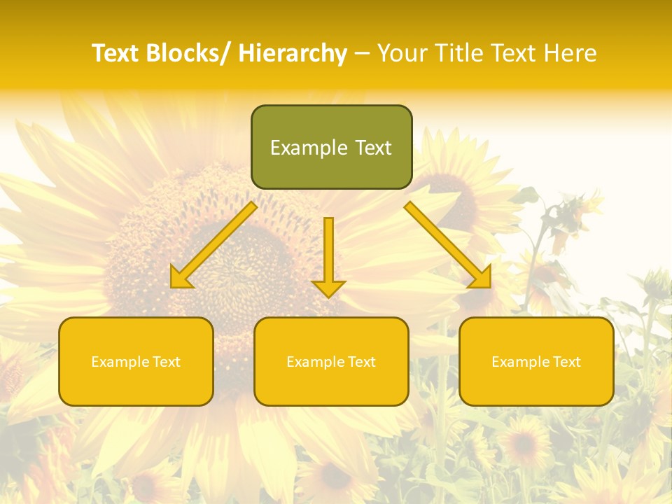 Season Flower Growth PowerPoint Template