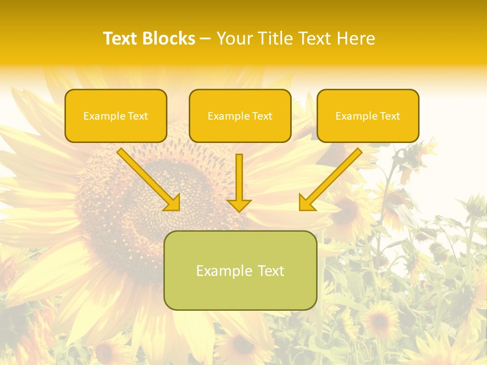 Season Flower Growth PowerPoint Template