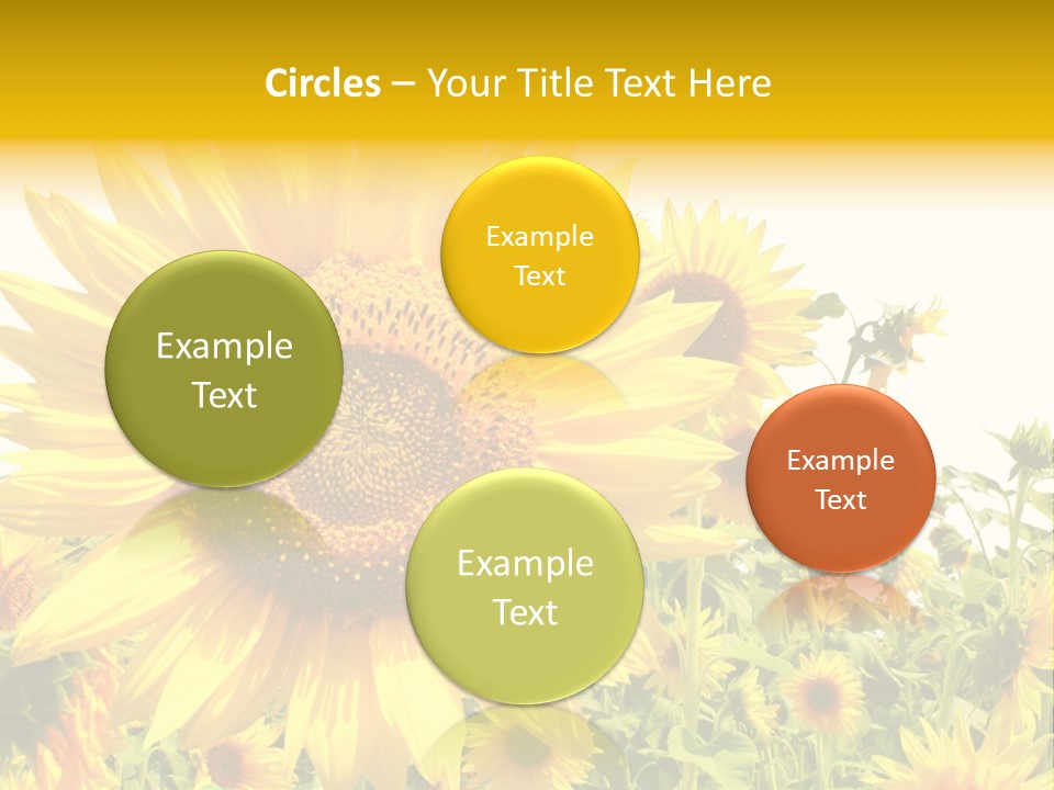 Season Flower Growth PowerPoint Template