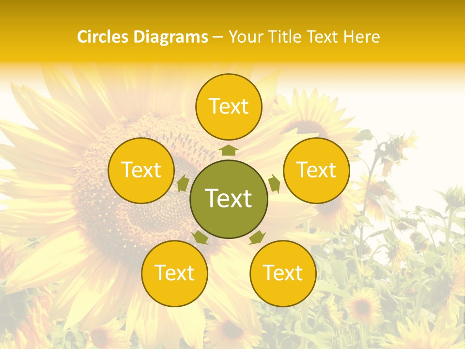 Season Flower Growth PowerPoint Template