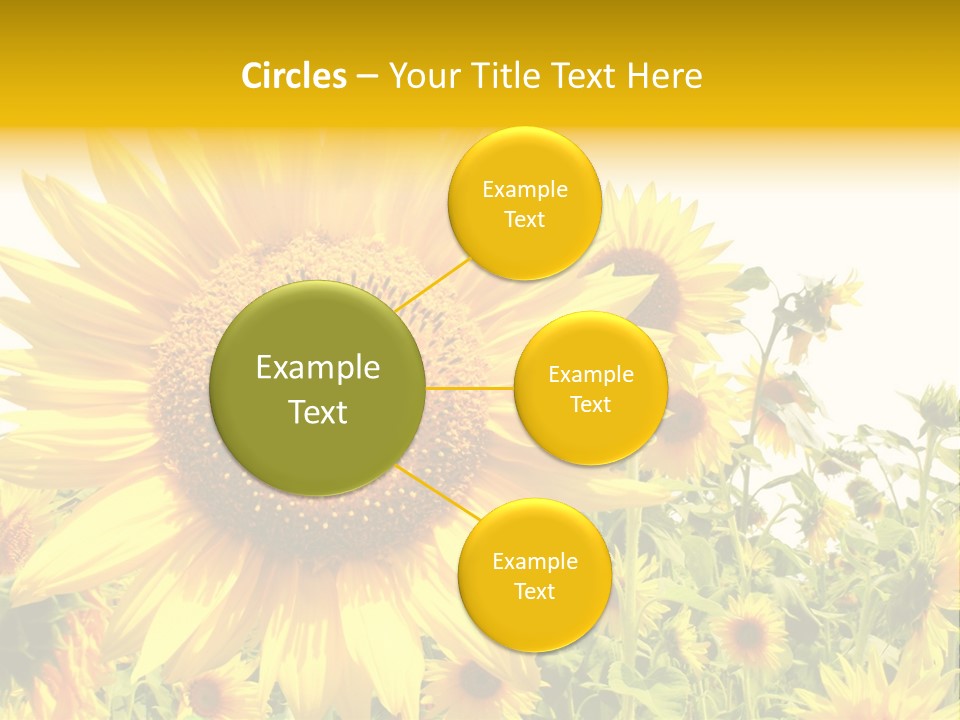 Season Flower Growth PowerPoint Template