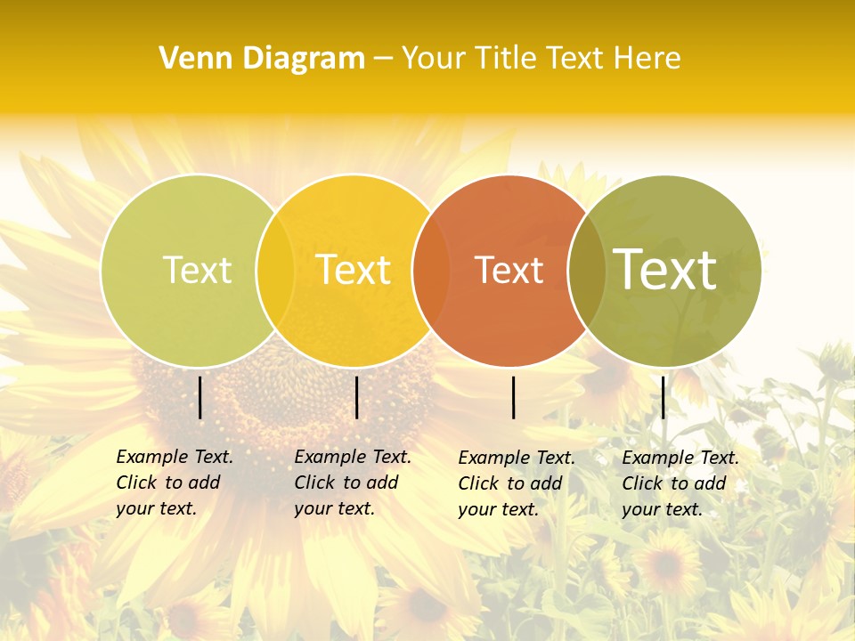 Season Flower Growth PowerPoint Template