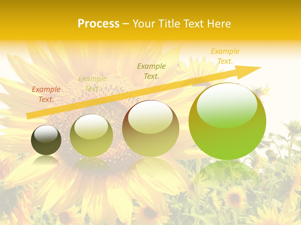 Season Flower Growth PowerPoint Template