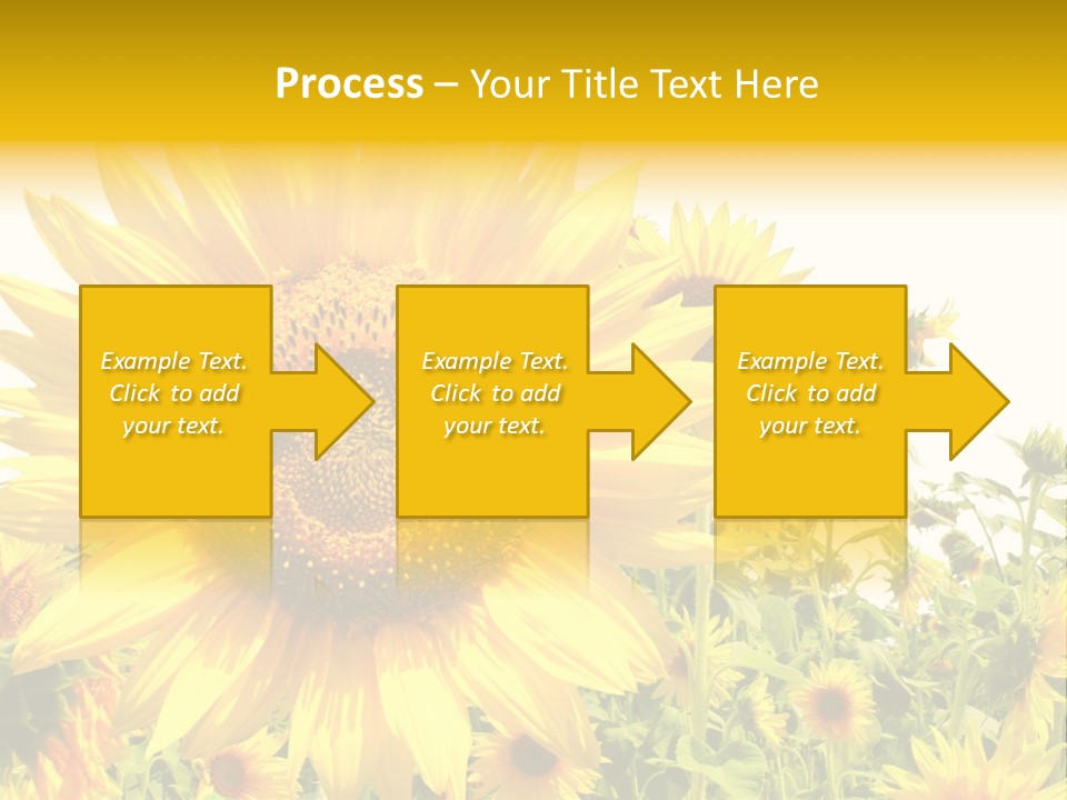 Season Flower Growth PowerPoint Template
