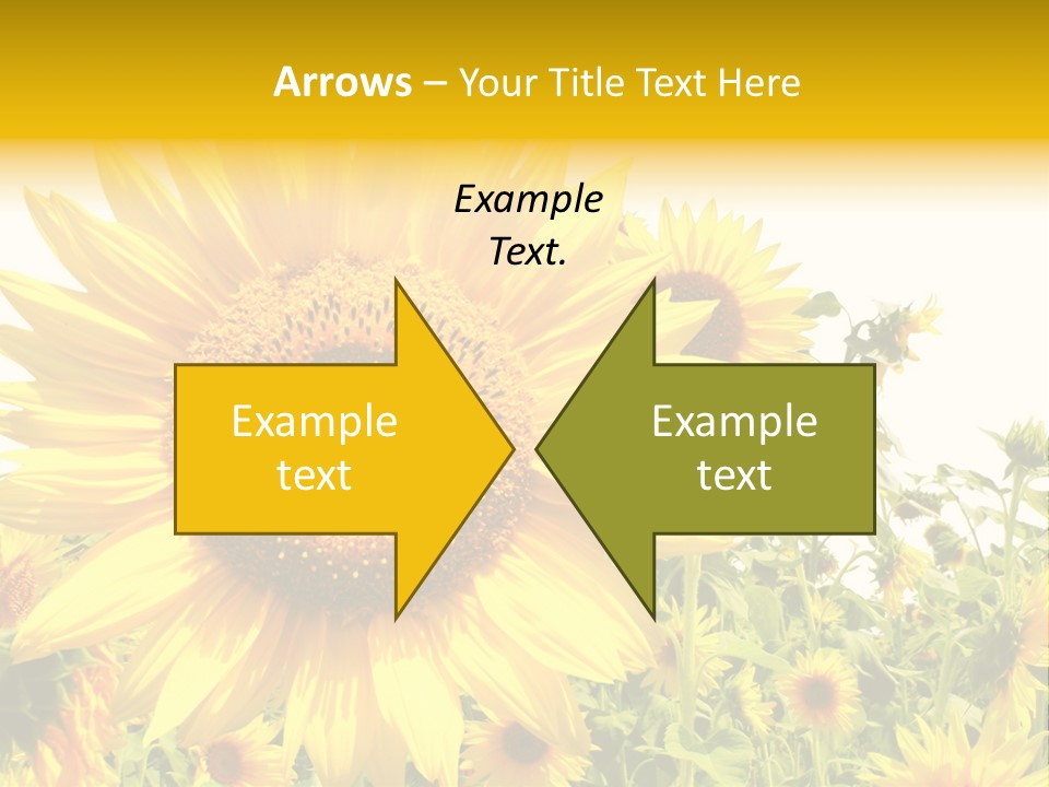 Season Flower Growth PowerPoint Template