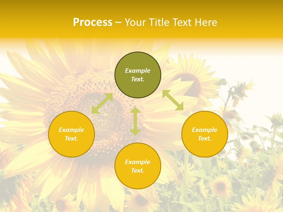 Season Flower Growth PowerPoint Template