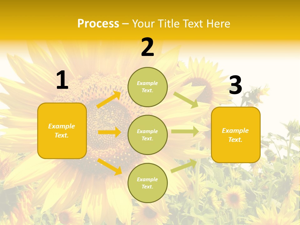 Season Flower Growth PowerPoint Template