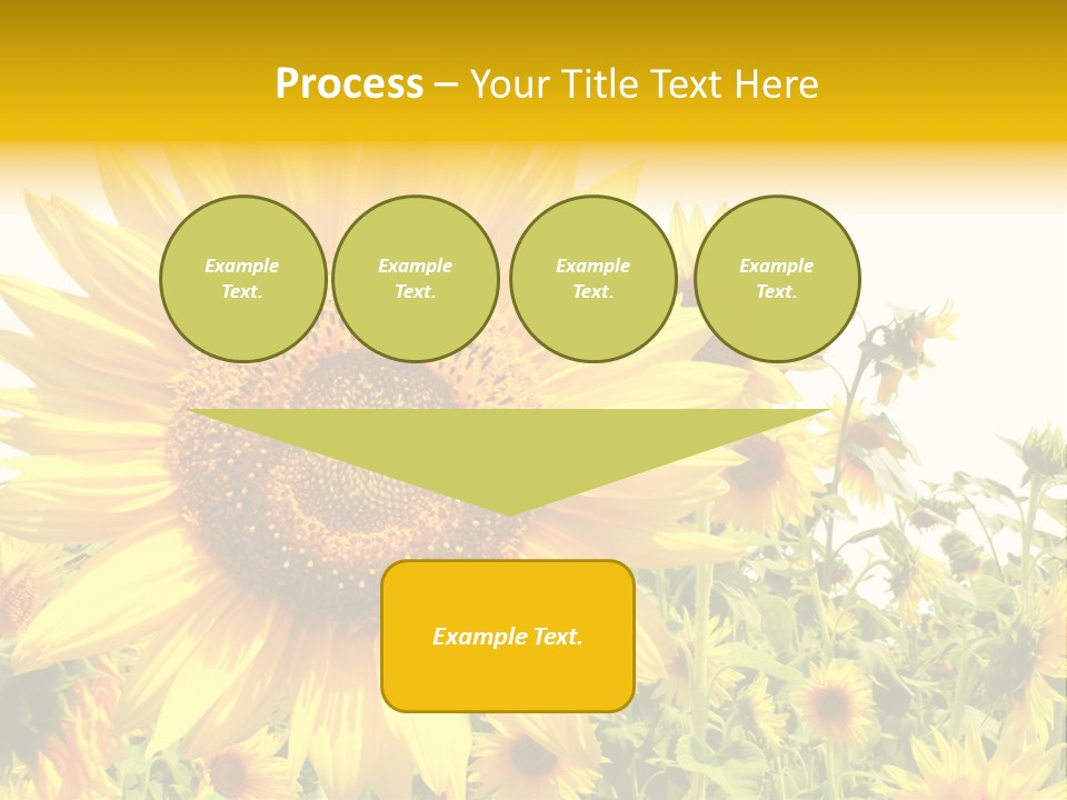 Season Flower Growth PowerPoint Template