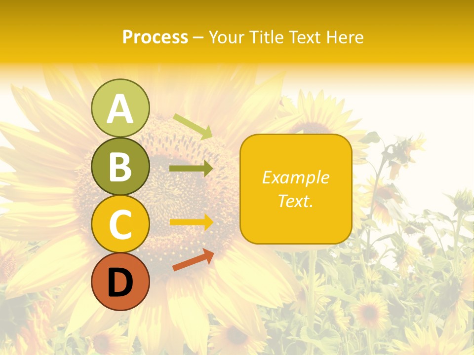 Season Flower Growth PowerPoint Template