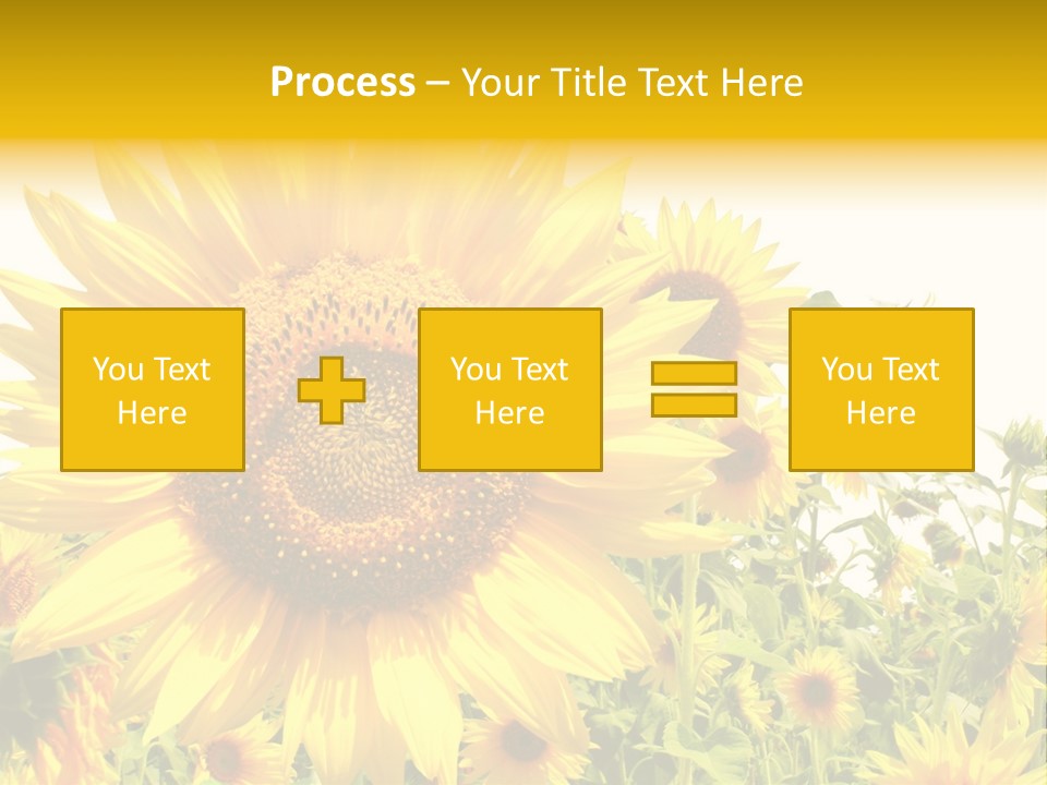 Season Flower Growth PowerPoint Template