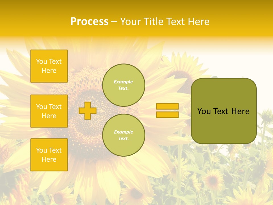 Season Flower Growth PowerPoint Template