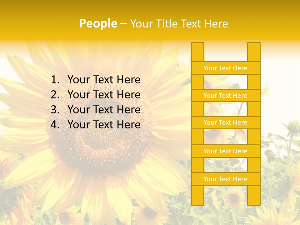Season Flower Growth PowerPoint Template