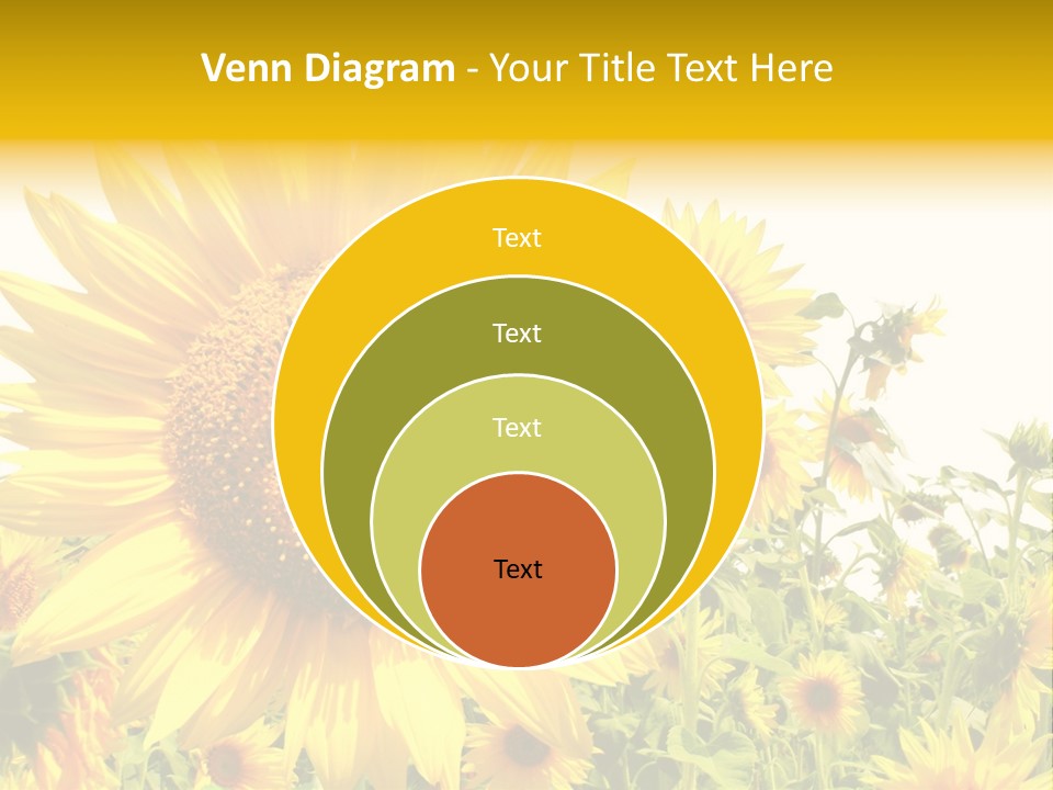 Season Flower Growth PowerPoint Template