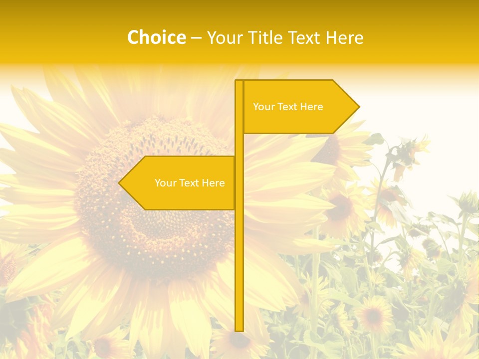 Season Flower Growth PowerPoint Template