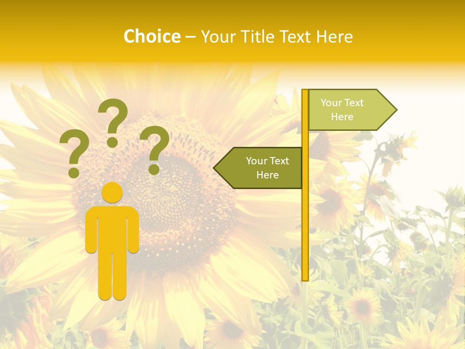 Season Flower Growth PowerPoint Template