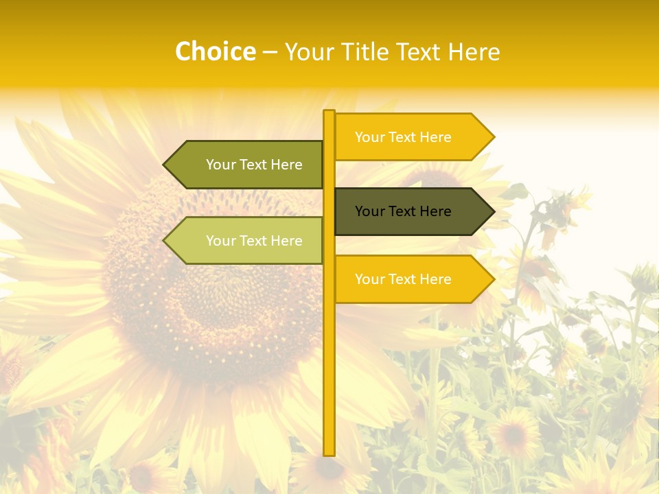 Season Flower Growth PowerPoint Template