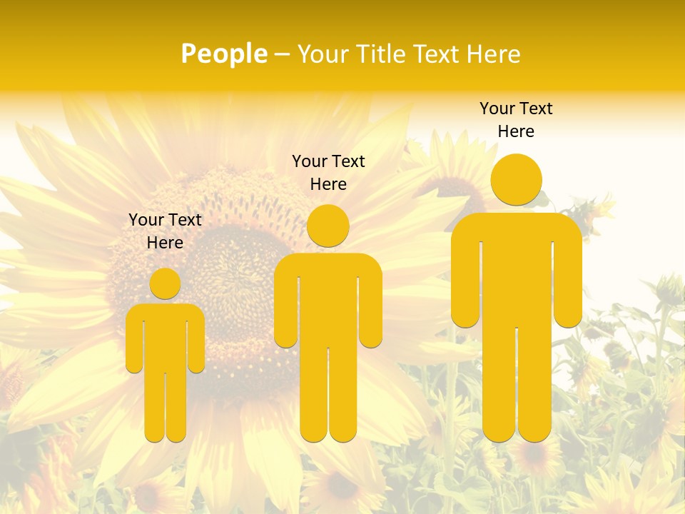 Season Flower Growth PowerPoint Template