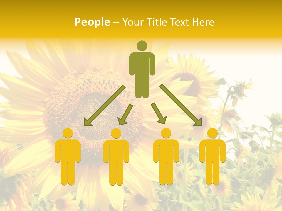 Season Flower Growth PowerPoint Template