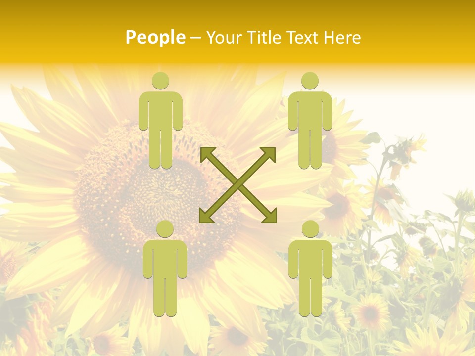 Season Flower Growth PowerPoint Template