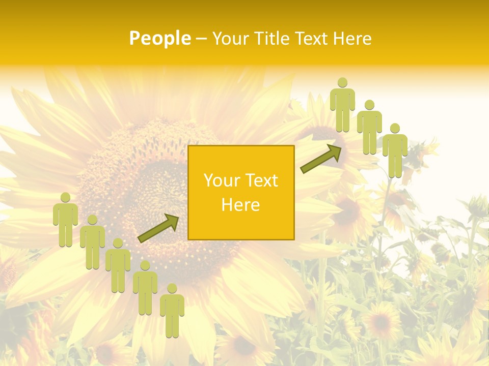 Season Flower Growth PowerPoint Template