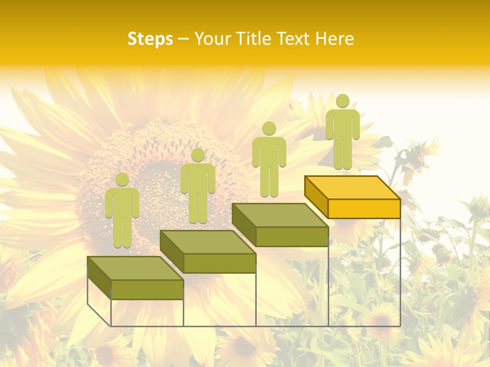 Season Flower Growth PowerPoint Template